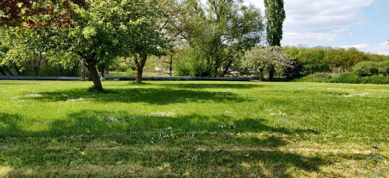Villa Le Moulin Des Moines Châtenois Esterno foto
